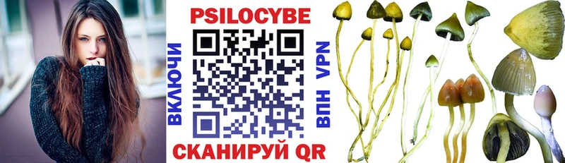 Псилоцибиновые грибы GOLDEN TEACHER Купить Емва